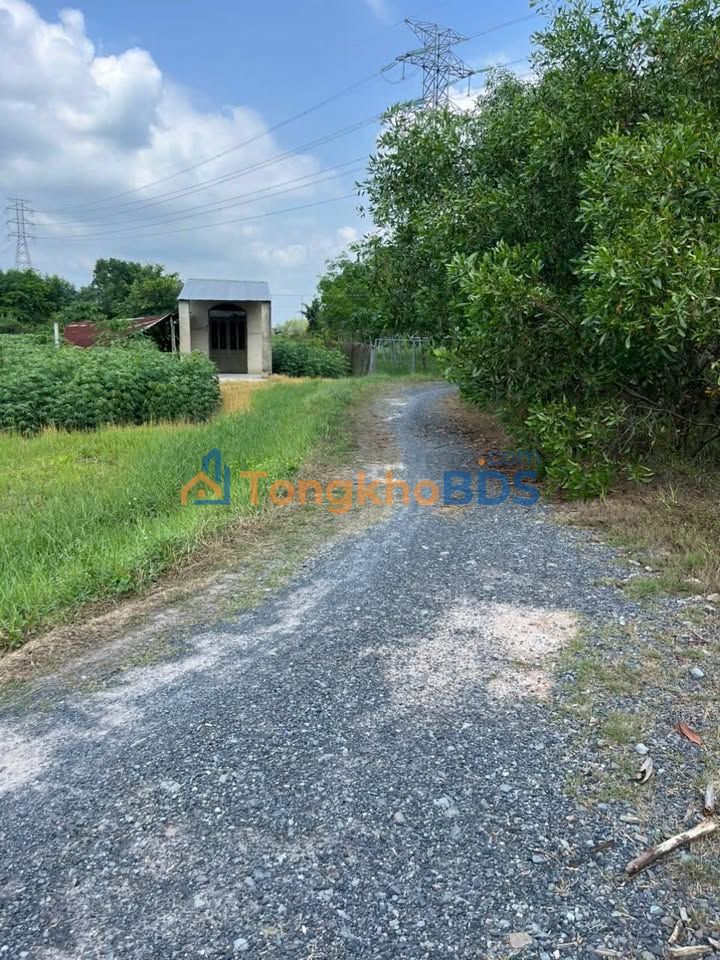 Đất Tân Bình Tây Ninh 1212m² giá 1.3 tỷ - Sổ đỏ chính chủ