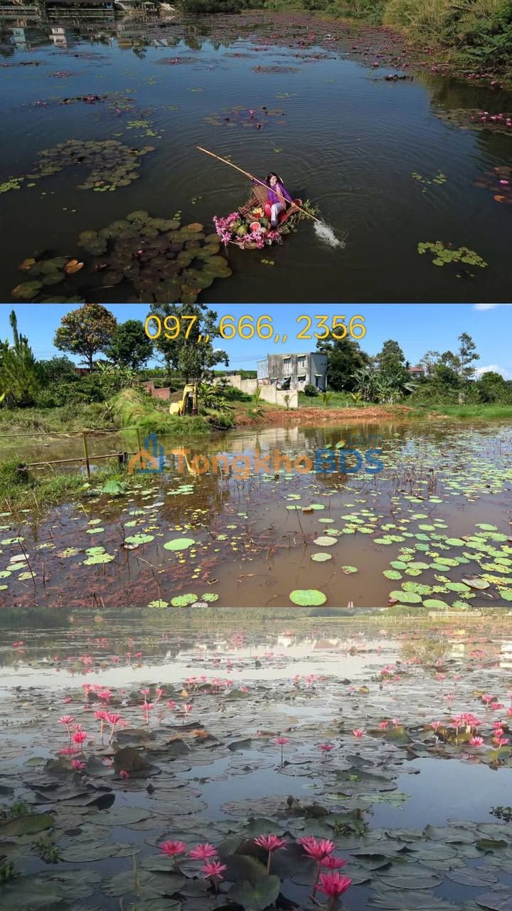 Đất nền 569m² giáp Hồ Nam Phương, Bảo Lộc - Sổ hồng sẵn, giá 4.2 tỷ