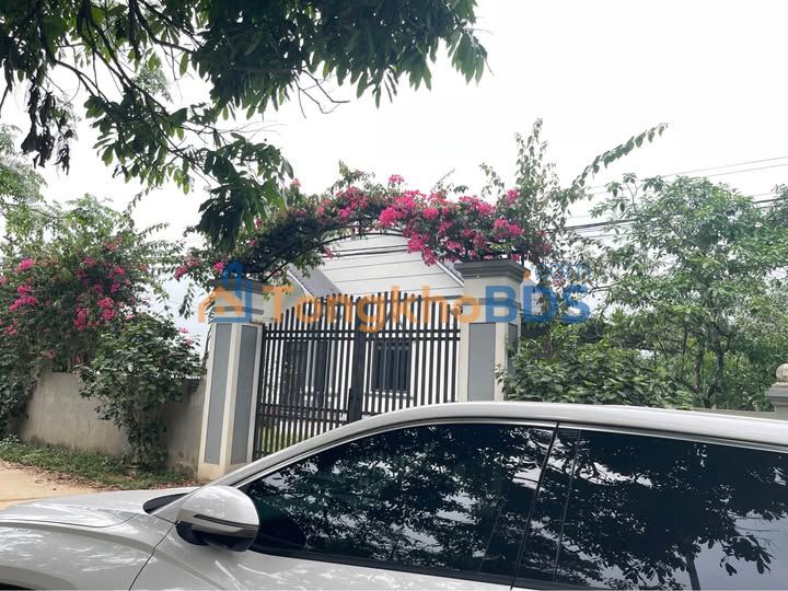 Bán Gấp Nhà Vườn 1500m² Yên Bái - Sổ Thổ Cư, Vườn Bưởi Trĩu Quả