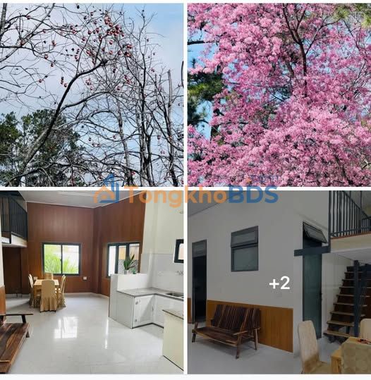 Cho thuê nhà nguyên căn Đà Lạt - 4PN, view đẹp, xe hơi