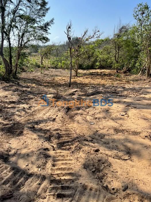 Đất Vườn 751m² Gần Biển 500m - Sổ Đỏ Sẵn Sàng - Chỉ 650 Triệu