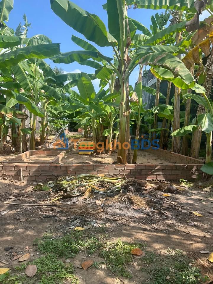 Đất Bình Tâm Tân An 328m² 1.6 tỷ - Xây dựng tự do