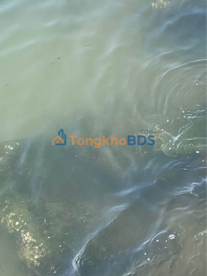 Nhà nguyên căn Nguyễn Thái Học Quy Nhơn 210m² - Cho thuê ngay