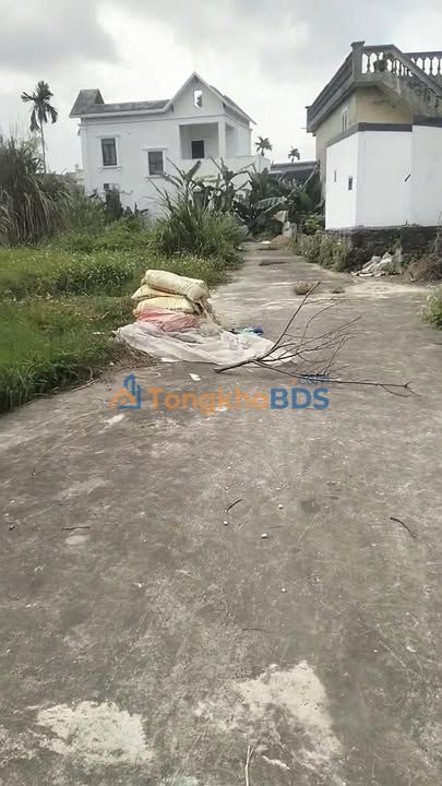 Bán Đất Nền 50.7m² Phường An Phong, Hải Phòng - Gần KCN Nomura, Sổ Đỏ Sẵn Sàng