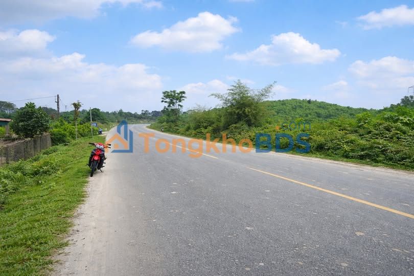 Đất Vàng Mặt Tiền ĐT550, Thạch Hà, Hà Tĩnh - 306m² Hướng Nam, Giá 2 Tỷ