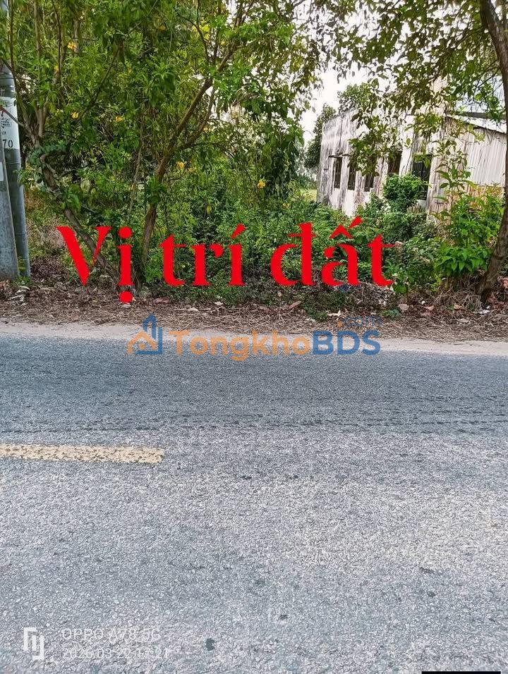 Bán Nền Mặt Tiền Hương Lộ 11 An Giang - 273m² Kinh Doanh Sầm Uất