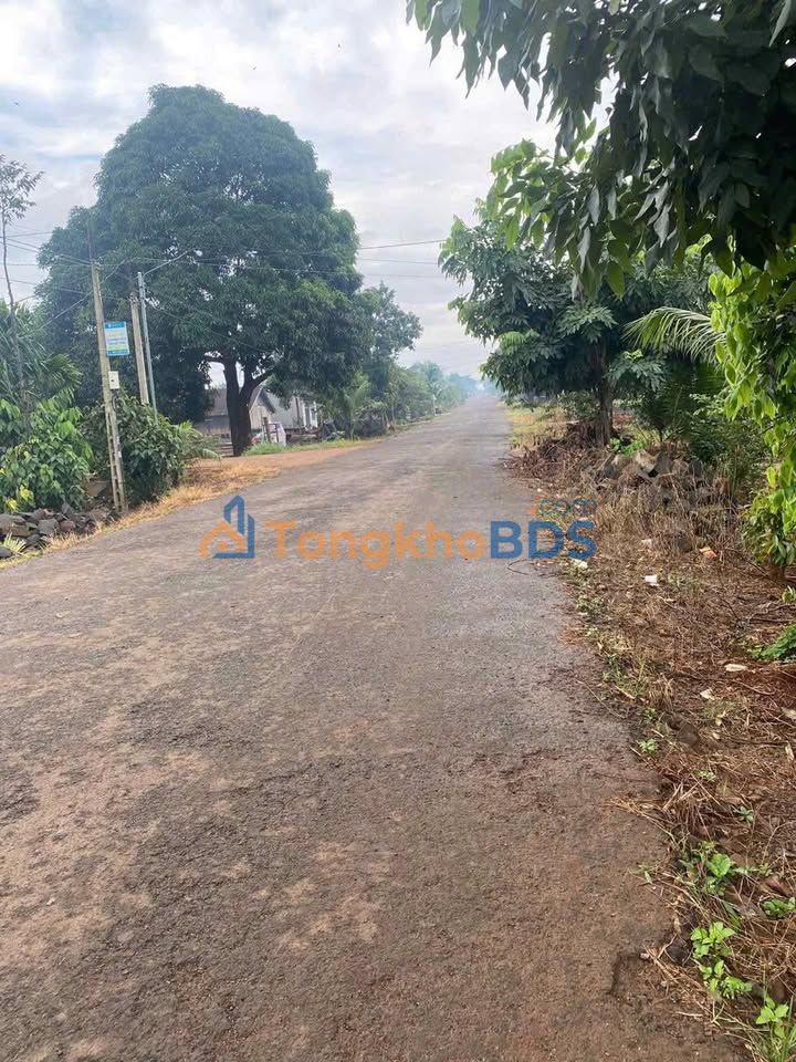 Đất nền 315m² mặt tiền đường nhựa, Cư M'gar - Sẵn sàng xây nhà/đầu tư