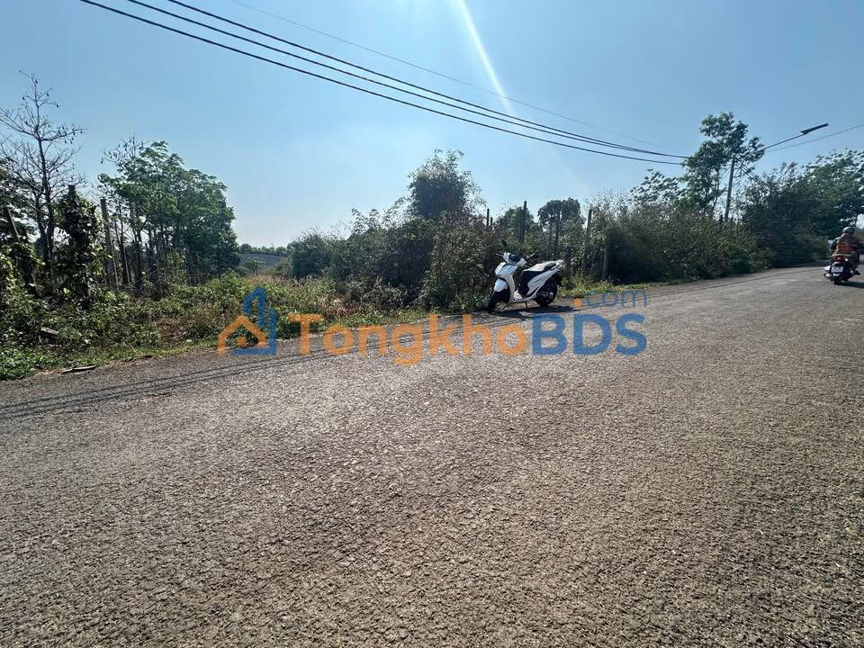 Đất Mặt Tiền Nguyễn Siêu Pleiku 160m² - Kinh Doanh/Ở Đều Đẹp