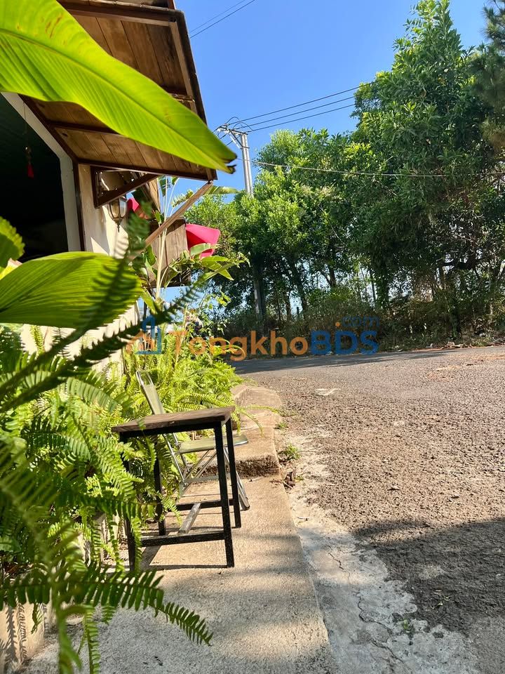 Đất nền Pleiku Hoa Lư 155m² 1 tỷ - Giá tốt hiếm có