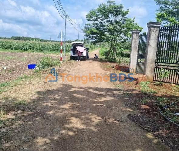 Đất nền Xuân Tây Cẩm Mỹ 1000m² giá 1.05 tỷ - Sổ đỏ chính chủ