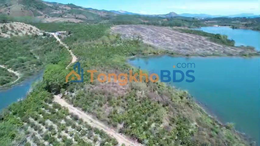 Đất vườn Hơ Moong Sa Thầy 3ha giá 3 tỷ - Đầu tư dài hạn