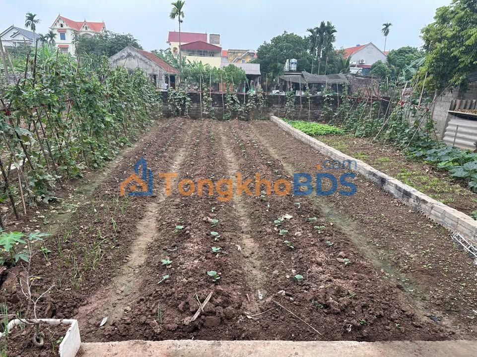 Đất nền Chương Dương Thường Tín 99m² 3.972 tỷ - Giá tốt hiếm có