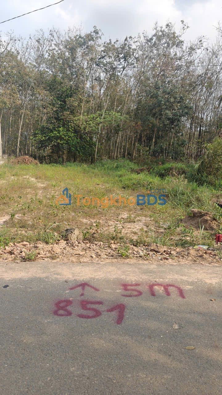 Nhà Mặt Tiền Kinh Doanh Phường Mỹ Phước, Bến Cát - 150m² Sẵn Sàng Ở Ngay