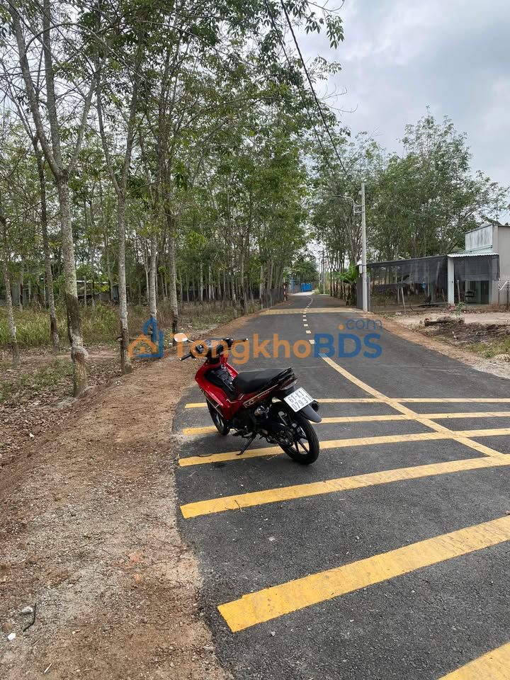 Đất nền Bàu Bàng 155m² giá 6.x tỷ - Sổ TC, Dân cư đông đúc