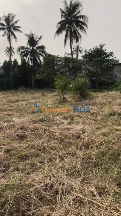 Đất nền Vĩnh Phú 40 Thuận An 4.168m² 58 tỷ - Tiềm năng tăng giá