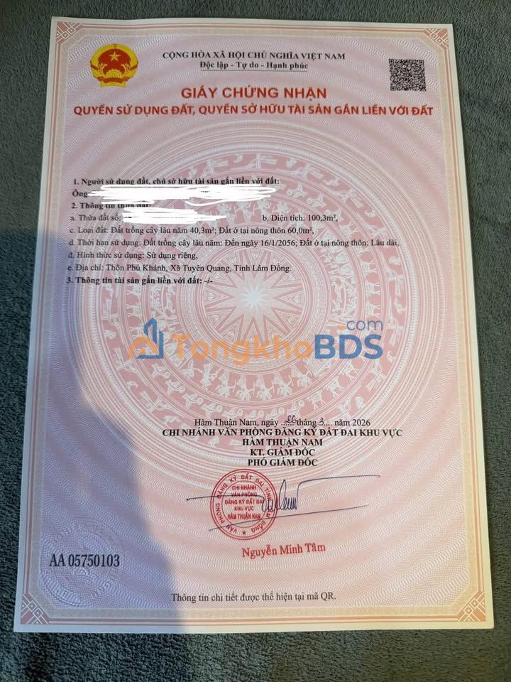 Đất nền Hàm Mỹ 100m² 299 triệu - Sổ đỏ chính chủ