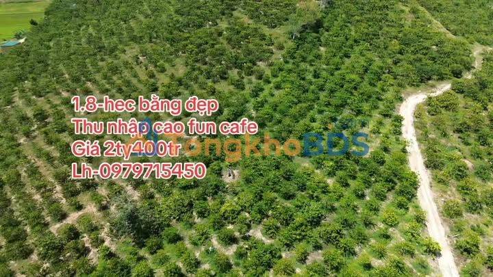 Bán 1.8ha Đất Vườn Đắk Lắk - Giá 2.4 Tỷ, Gần Quốc Lộ