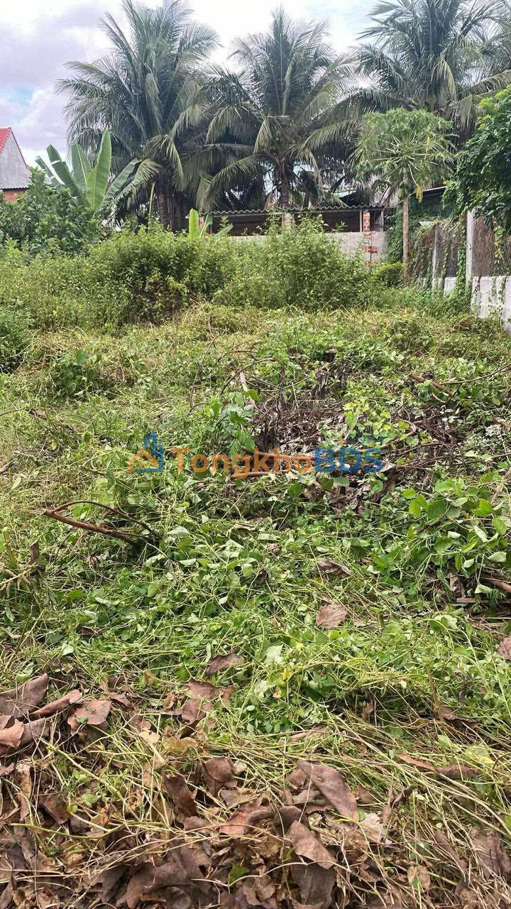 Đất nền Đà Lạt Đô Vinh 108m² 650 triệu - Sổ đỏ chính chủ