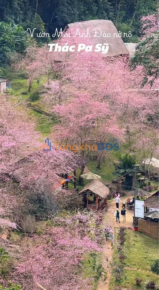 Đất Biệt Thự Thổ Cư 1000m² Tại Kon Tum - Gần Thác Pa Sỹ