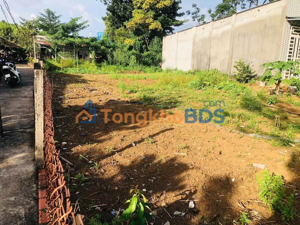 Đất nền Long Phước Bà Rịa 539m² 1.2 tỷ - Pháp lý rõ ràng