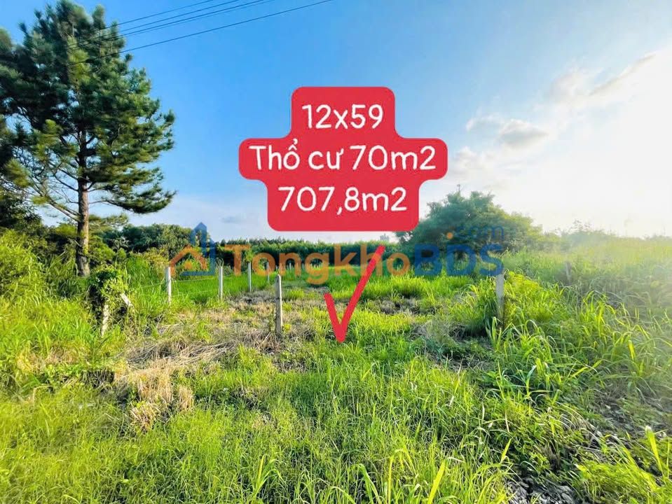 Đất nền Nguyễn Huệ Đất Đỏ 708m² 3,2 tỷ - Sổ đỏ chính chủ