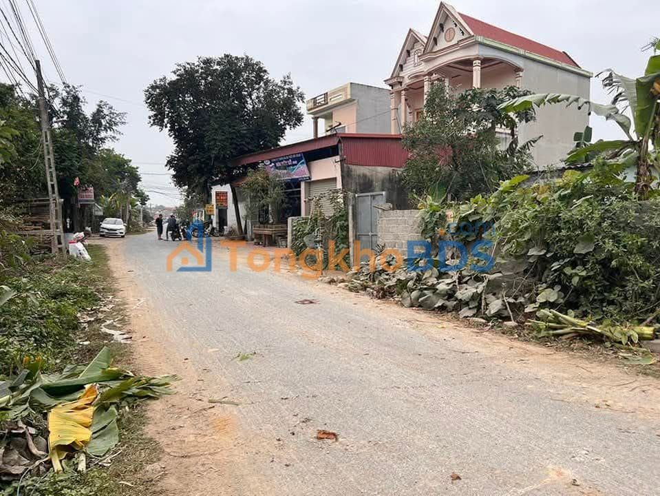 Đất nền Yên Thịnh Thanh Hóa 200m² 900 triệu - Sổ đỏ chính chủ