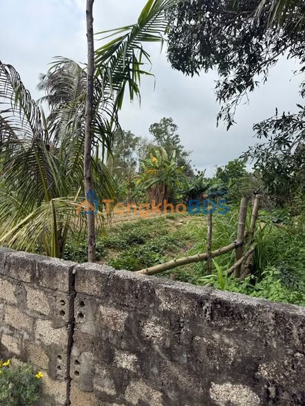 Đất nền Hải Nhân Nghi Sơn 200m² 1.2 tỷ - Sổ đỏ chính chủ