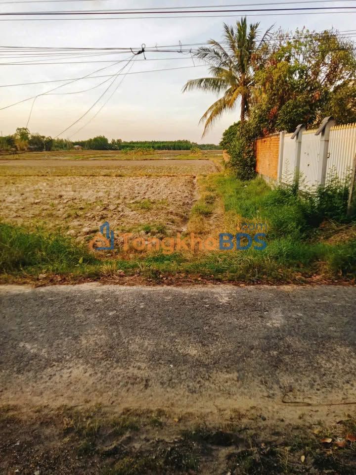 Đất nền Thạnh Phước 3.200m² 1.6 tỷ - Sổ đỏ chính chủ