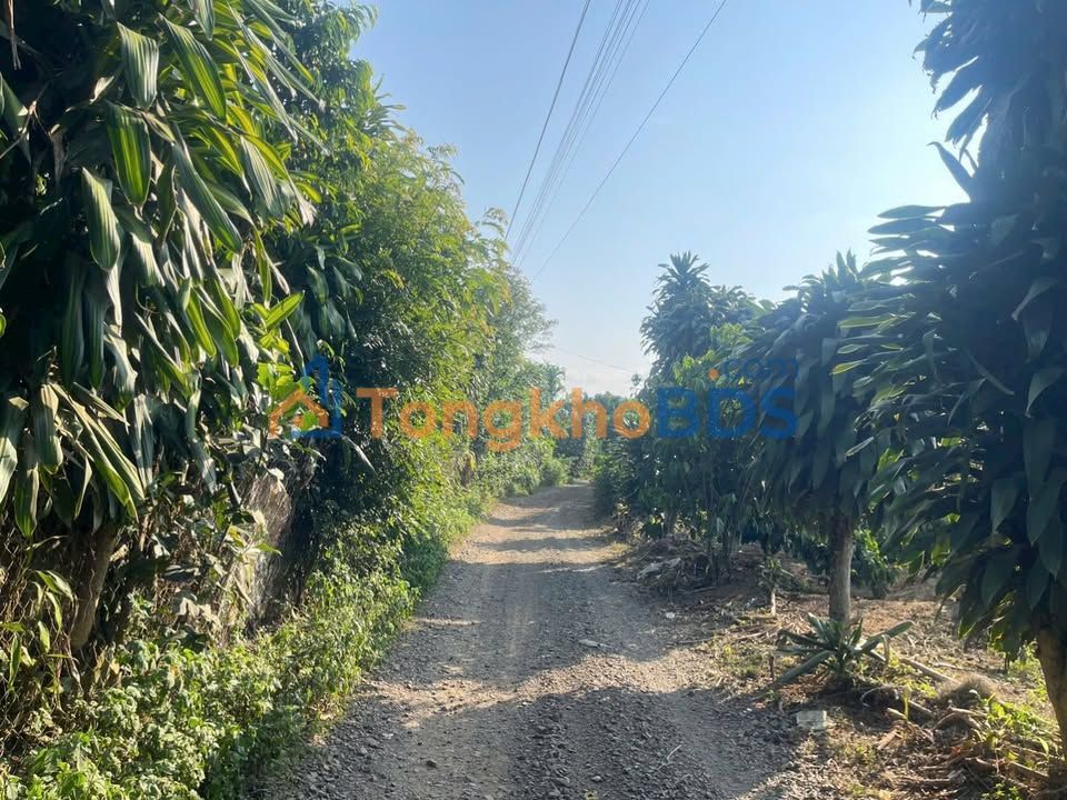 Đất nền Lộc Thanh 720m² 1,05 tỷ - Đường ô tô