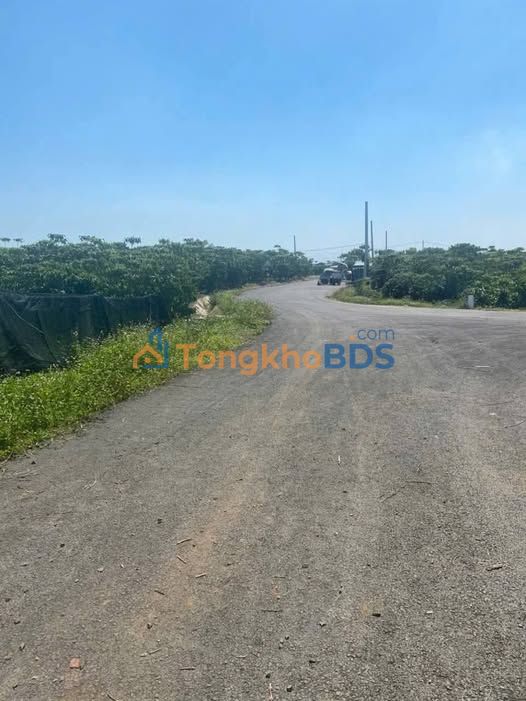 Đất Vườn Bảo Lộc 6000m² - Sổ Đỏ Full Thổ Cư, 3 Mặt Tiền, Gần Cao Tốc