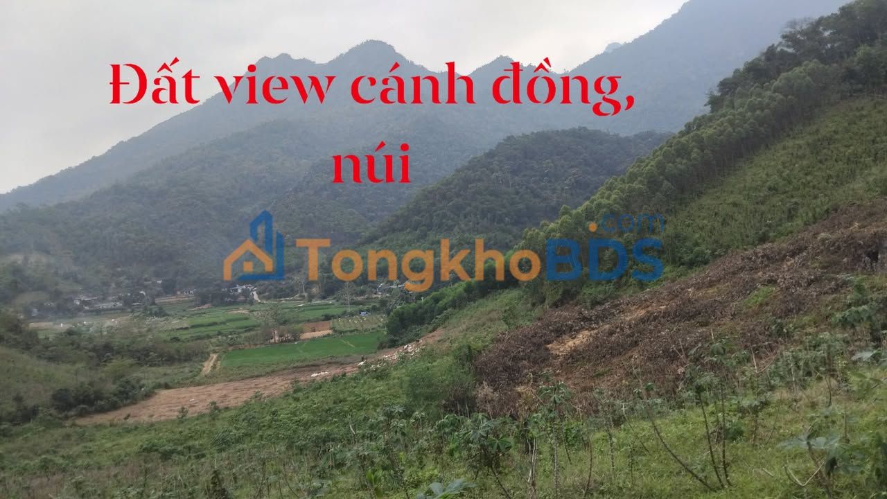 Đất Ba Vì Hà Nội 2.2ha giá 9,5 tỷ - Sổ đỏ chính chủ