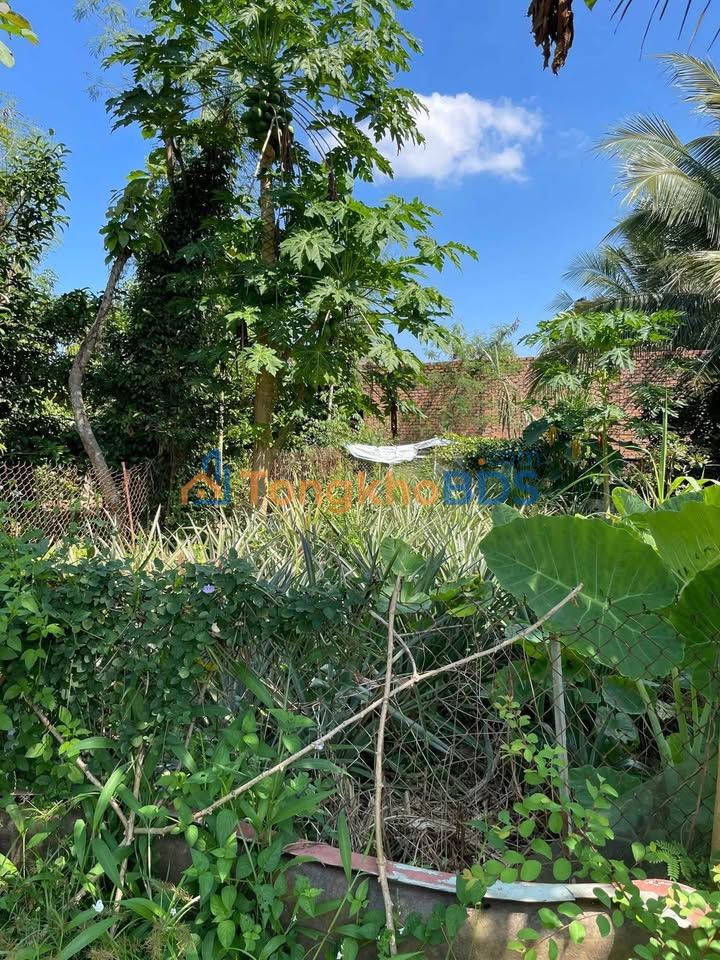 Đất nền Thị trấn Tân Phú 99,5m² giá 730 triệu - Sổ đỏ chính chủ