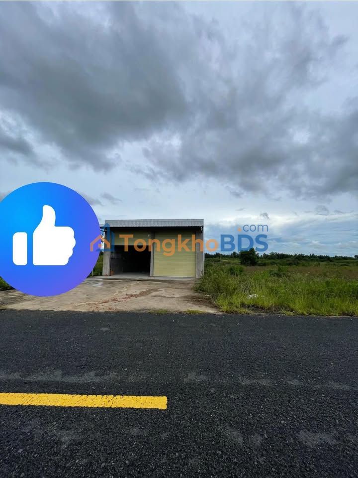 Đất nền Trục Lộ Đông Tây Tân Hưng 560m² 1 tỷ - Đường ô tô rộng