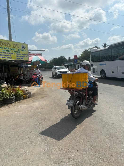 Đất Vườn Dừa Bến Tre 3900m² - Giá Đầu Tư 1.75 Tỷ