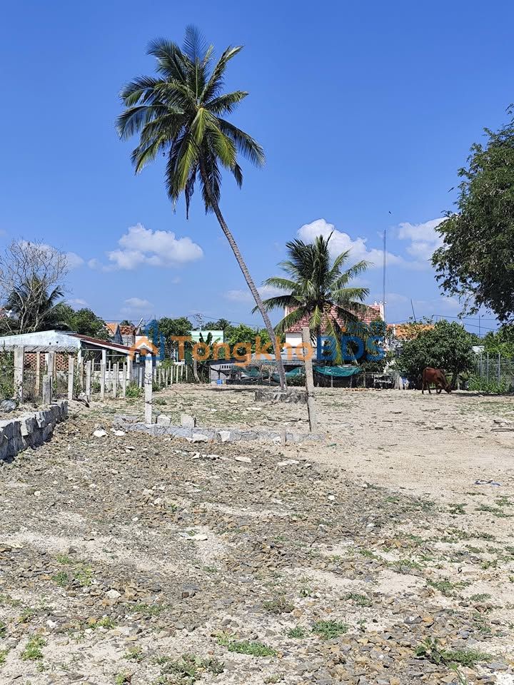 Đất nền Ninh Hải Ninh Hòa 605m² 13 tỷ - Đất thổ cư 100% sát biển