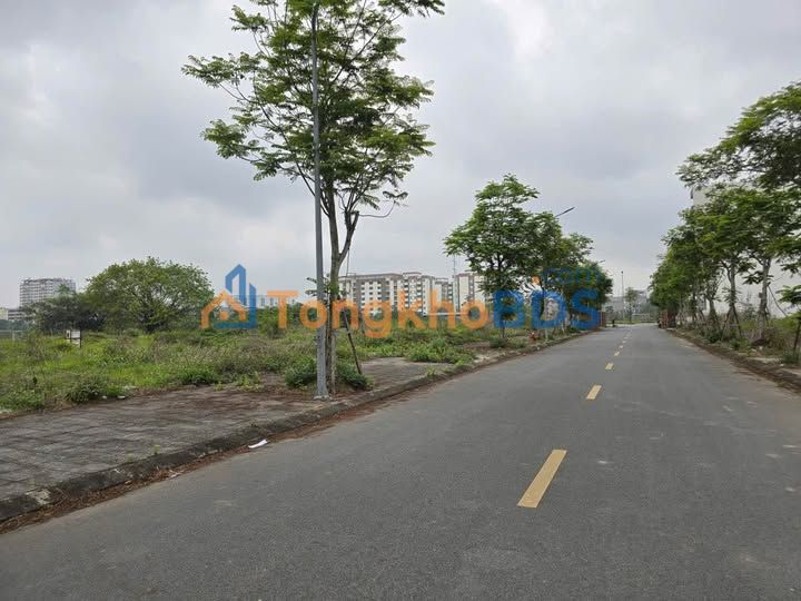 Bán Đất Him Lam Thụ Ninh - 81m² Mặt Tiền 4.5m - Kinh Bắc, Bắc Ninh