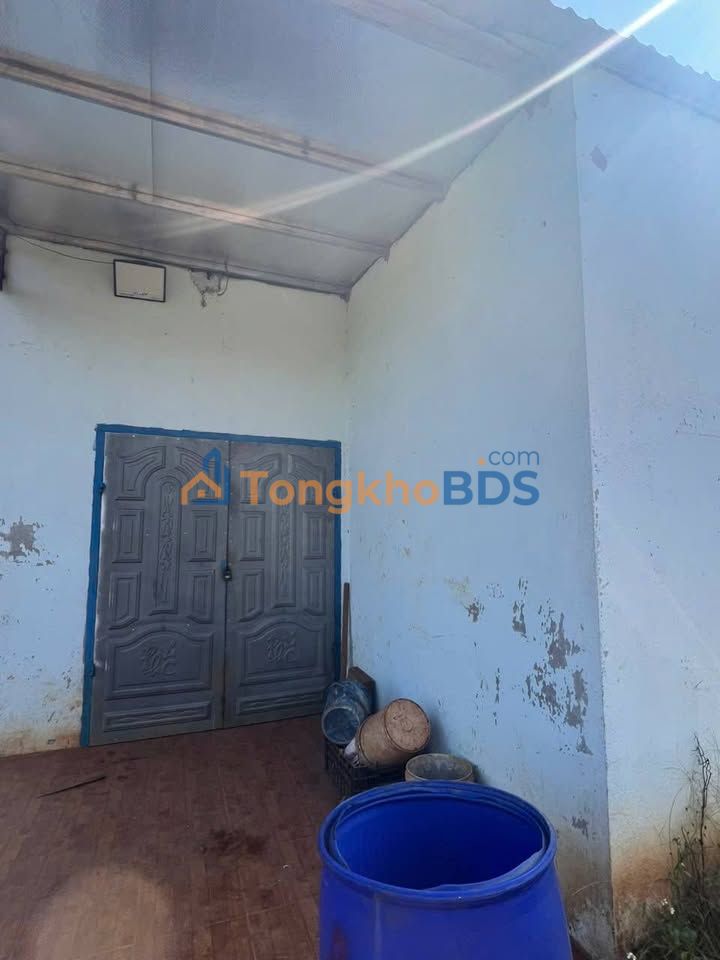 Đất Nền 18000m² Xã Quảng Tân, Tuy Đức - Giá 1.3 Tỷ, Bao Đẹp, Sẵn Sàng Đầu Tư