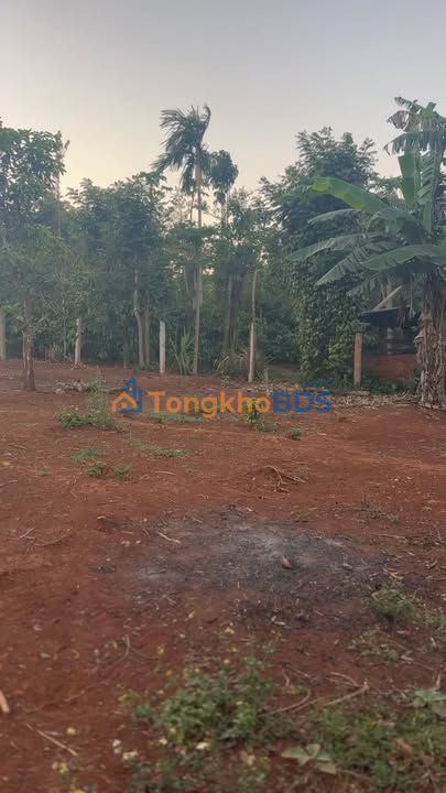 Đất Mặt Tiền Krông Năng, Đắk Lắk - 528m² Sẵn Sàng Đầu Tư