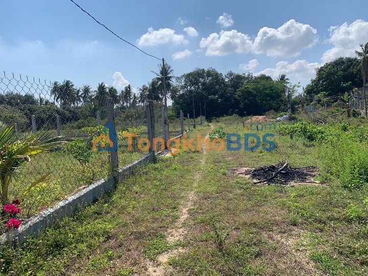 Đất nền Cam Phúc Nam 75m² - Sổ đỏ thổ cư, giá F0 chỉ 600 triệu