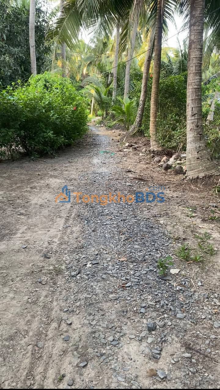 Bán Đất Vườn Dừa 14360m² Lương Hòa A, Trà Vinh - Sổ Riêng, Giá Đầu Tư 270 Triệu