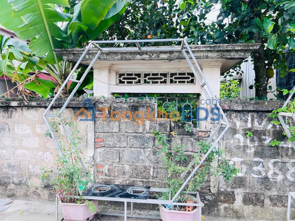 Đất nền Hoa Động Thủy Nguyên 88.5m² - Lô Góc View Trung Tâm Hành Chính