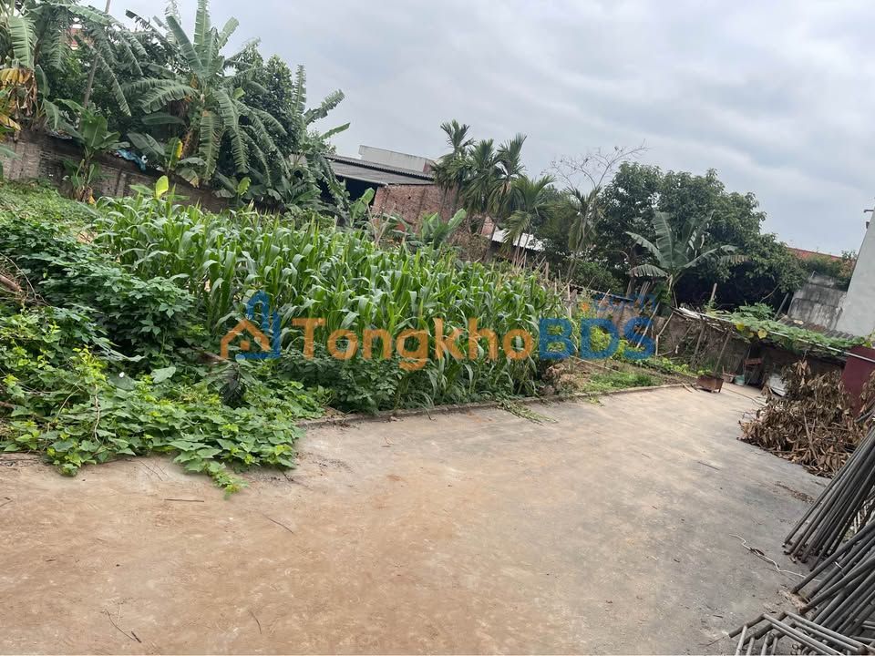 Bán đất Trung Châu, Đan Phượng 91m² - Giá chỉ 3 tỷ nhỉnh, ô tô tránh