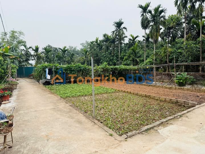 Đất nền Phúc Hòa Phúc Thọ 54m² 1 tỷ - Sổ đỏ chính chủ