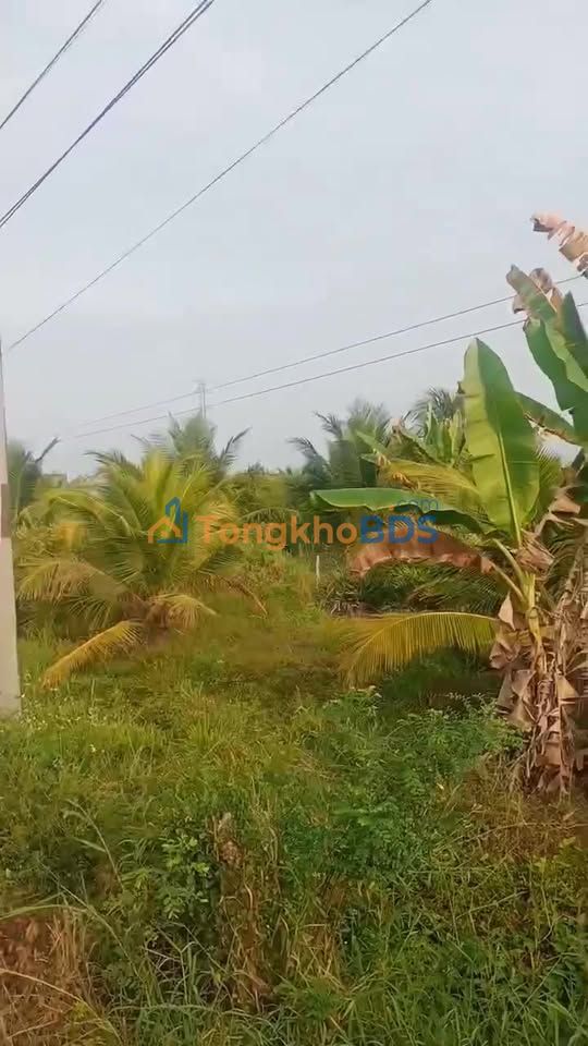 Đất nền Cầu Kè Trà Vinh 1.170m² - Sổ đỏ chính chủ