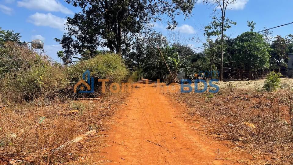 Đất thổ cư Cư Suê, Cư M'gar 130m² - Giá 295 triệu, đường thông ô bàn cờ