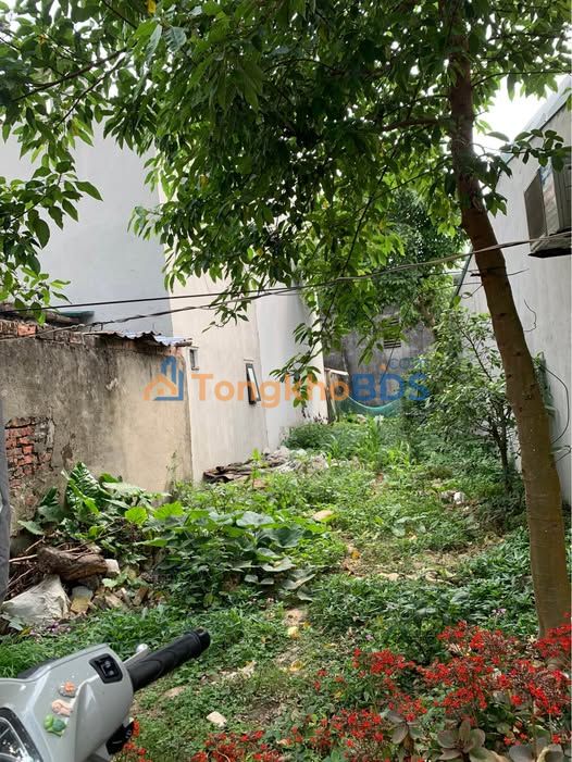 Bán đất Phú Xuân, Thái Bình 86m² - Sổ đỏ sẵn sàng, giá đầu tư chỉ 1.x tỷ