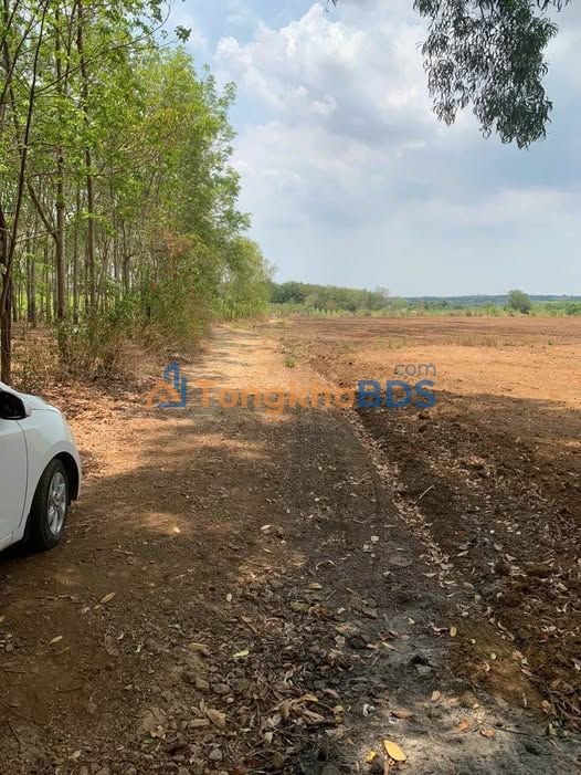 Đất Bàu Cạn Long Thành 20.000m² 45 tỷ - Pháp lý rõ ràng