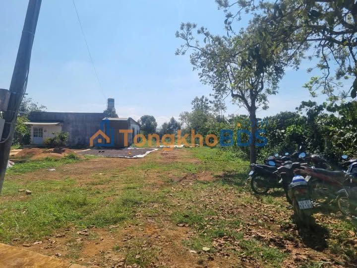 Đất nền 160m² liền kề, Xã Đại Nga, Lâm Đồng - Giá tốt 750 triệu/lô