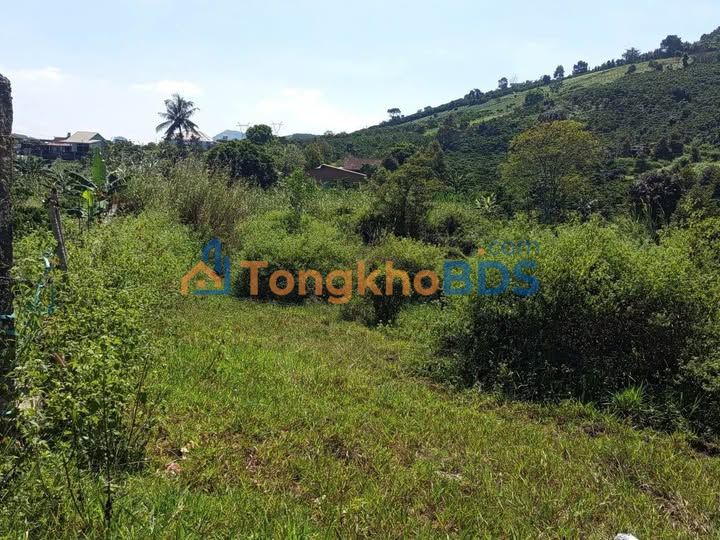 Bán Đất Vườn 1029m² Đường Thi Sách, Bảo Lộc - Giá Đầu Tư 1.55 Tỷ