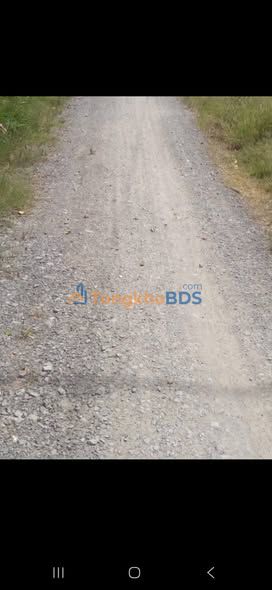 Bán Gấp Vườn Mặn 17.000m² Cái Bè, Tiền Giang - Giá 1.1 Tỷ Đầu Tư Sinh Lời